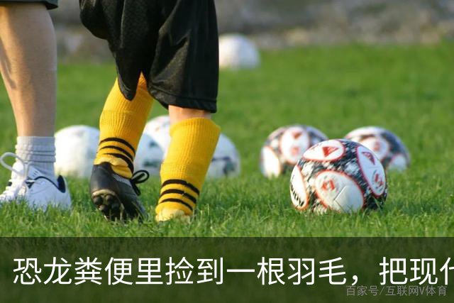 恐龙粪便里捡到一根羽毛，把现代羽毛史往前推了1000万年