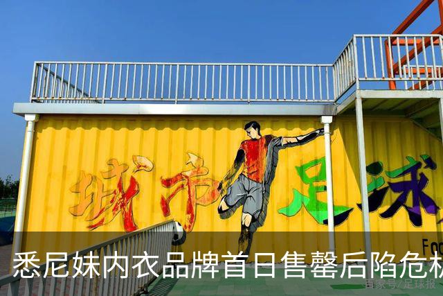 悉尼妹内衣品牌首日售罄后陷危机：销量远低预期，团队紧急开会寻出路